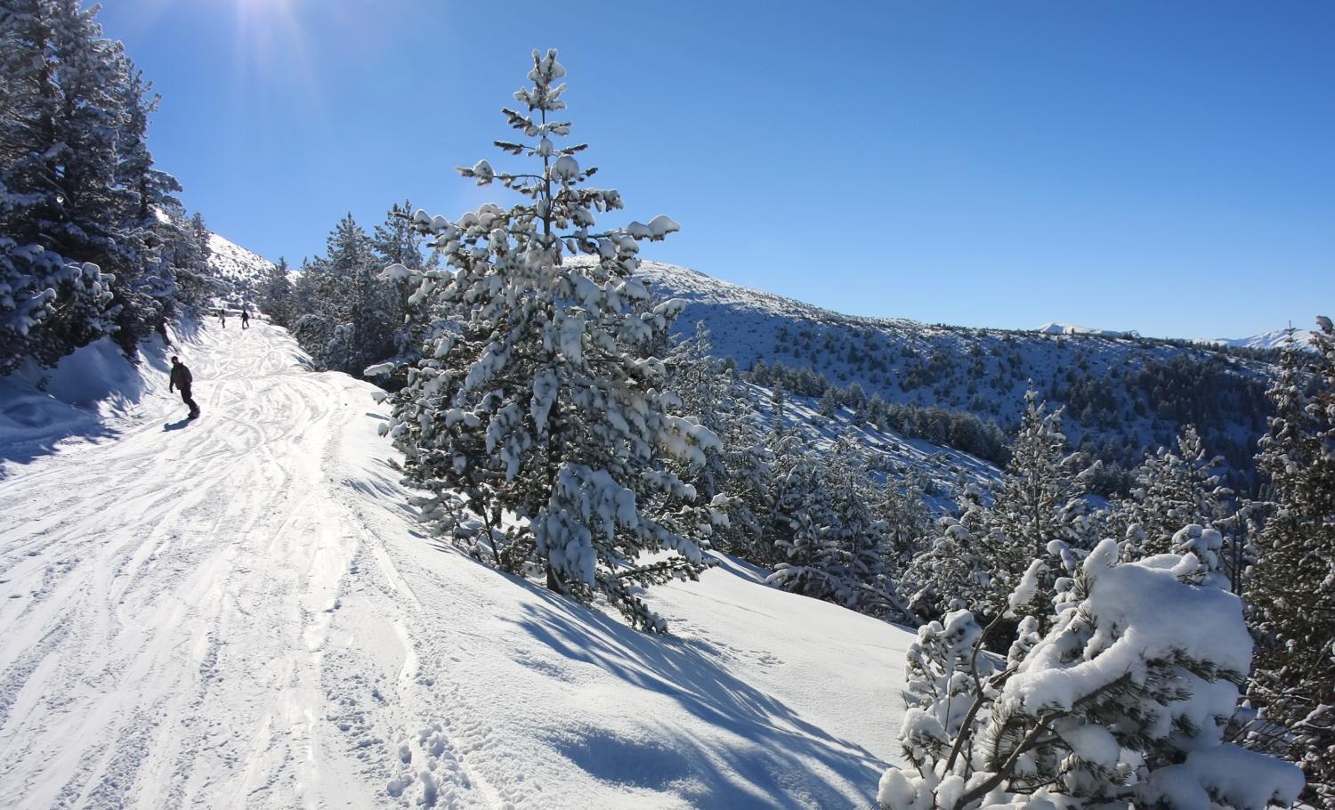 Charming One Bed Apartment 423 In Main Flora Building Borovets Extérieur photo