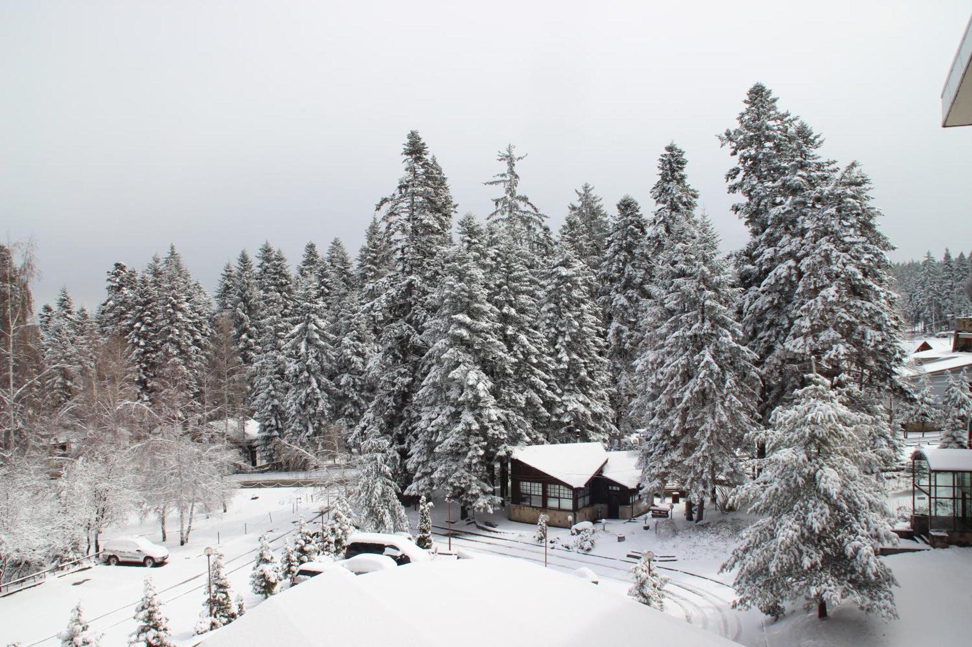Charming One Bed Apartment 423 In Main Flora Building Borovets Extérieur photo